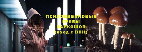 соль ск Козловка