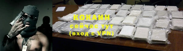 соль ск Козловка