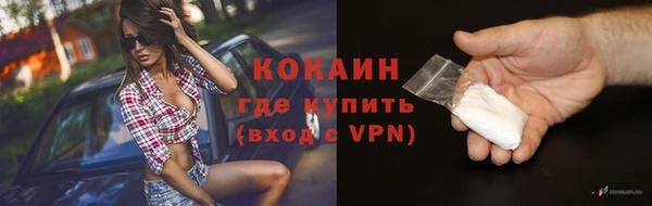 соль ск Козловка