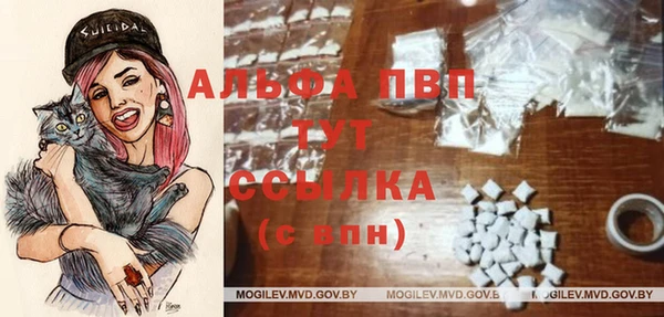 трава Кодинск
