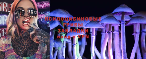 прущий лед Козельск