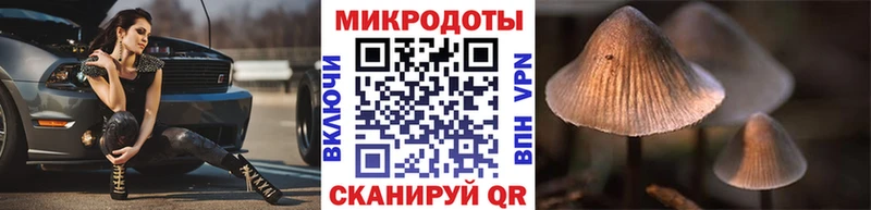 Купить  Добрянка  Галлюциногенные грибы GOLDEN TEACHER 